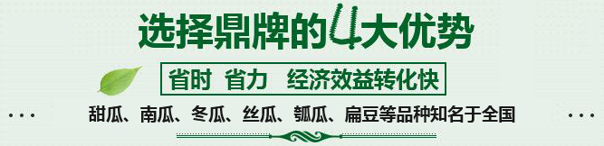 購買蔬菜種子，選擇鼎牌的四大優(yōu)勢