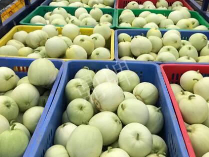 蔬菜種子種植戶客戶點(diǎn)評-5元1斤，這個新品種真香甜！