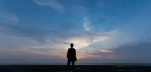 雇工難、成本高，想種甜瓜怎么辦？