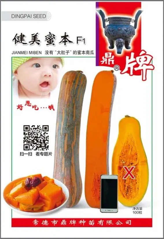 3元1斤的健美蜜本南瓜快成熟了，緬甸種植戶(hù)發(fā)來(lái)圖片與視頻