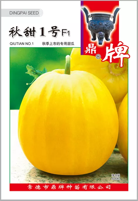 高溫季節(jié)種植甜瓜，什么品種最好？這個(gè)品種是秋季上市的專用品種