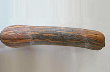 知道最甜最面的南瓜品種嗎？盤點十種有營養(yǎng)的甜面南瓜...