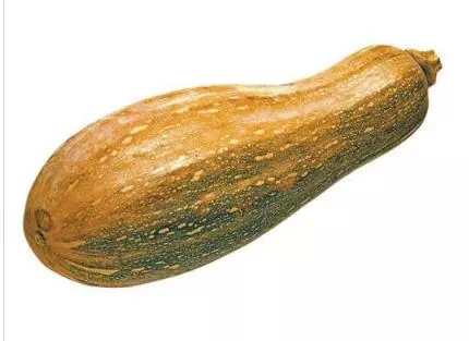 知道最甜最面的南瓜品種嗎？盤點十種有營養(yǎng)的甜面南瓜...