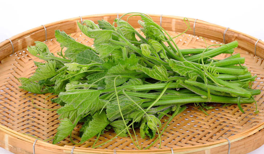 種這種綠葉菜，栽培輕松，畝產(chǎn)值過(guò)萬(wàn)元，菜農(nóng)表示很劃算