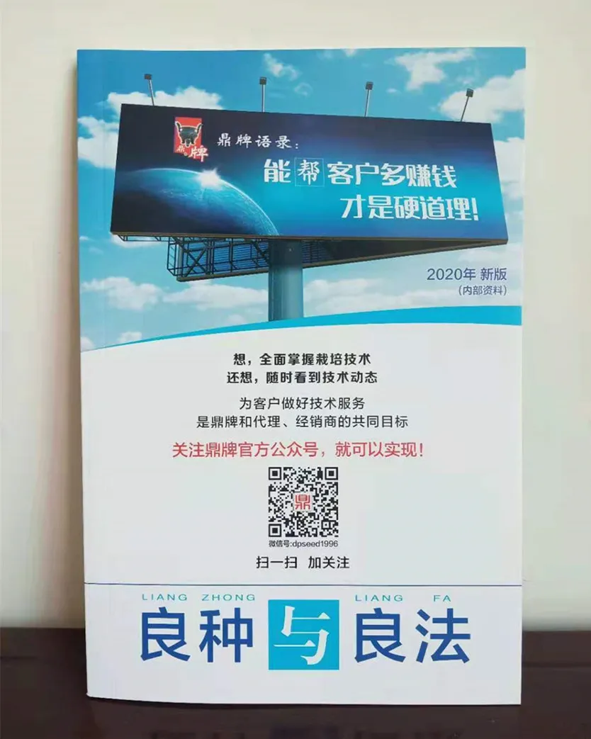 河南焦作的李向林今年種植甜瓜新品種，客戶直接拉貨走人