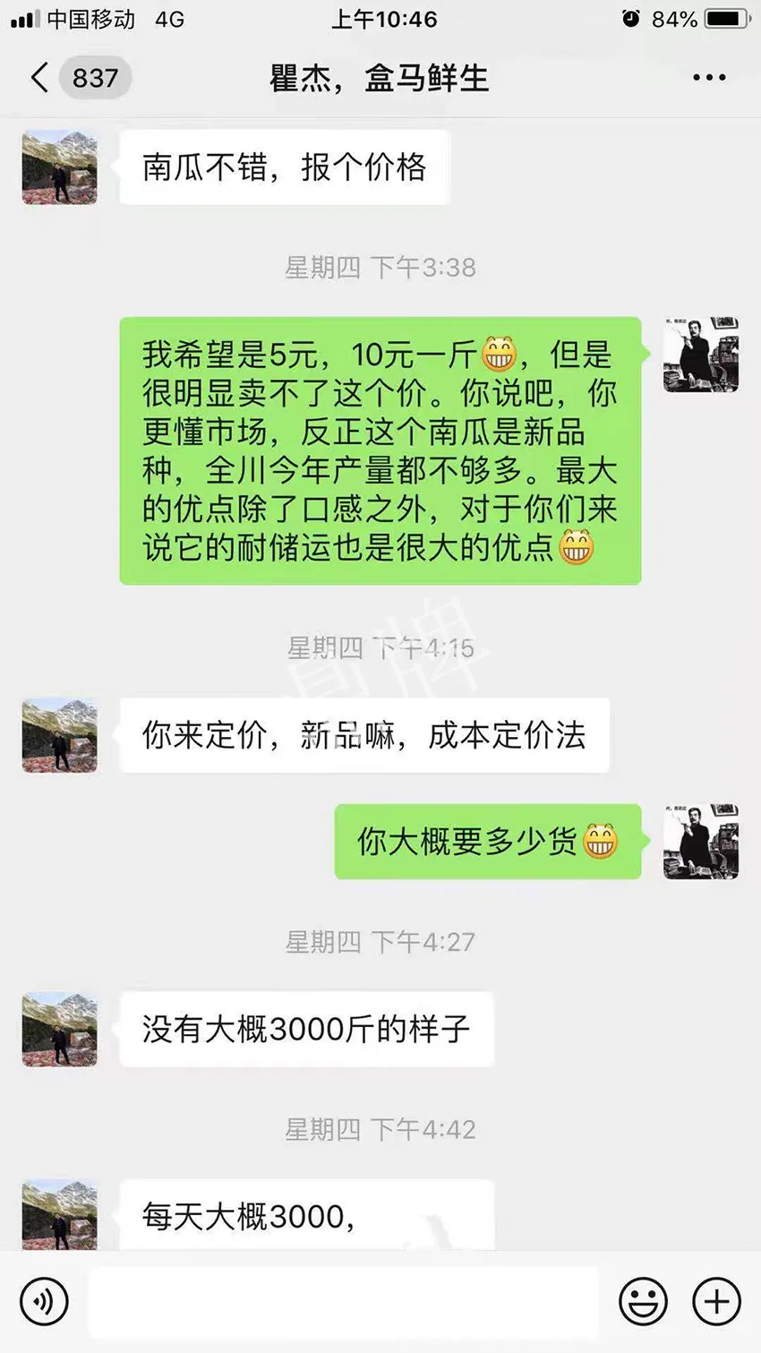 四川農(nóng)戶今年種“健美蜜本”南瓜產(chǎn)量高，品質(zhì)好，感覺巴適得很