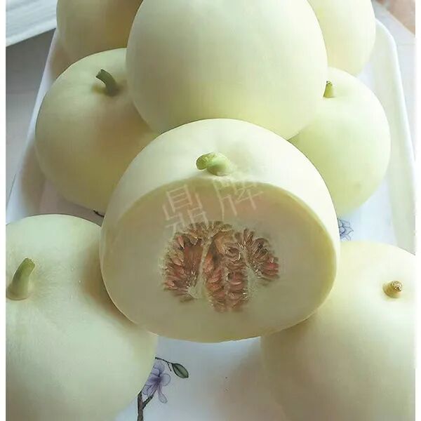 蔬菜種子種植戶種植心得-這個(gè)品種幫我留一些，4月份我們當(dāng)?shù)剡€要種一批